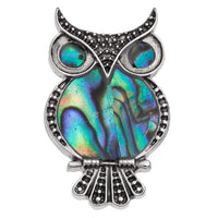 An owl-shaped brooch featuring a vibrant iridescent abalone shell inlay with blue, green, and purple hues, surrounded by textured silver metal.