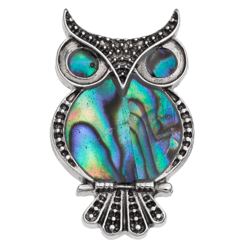 An owl-shaped brooch featuring a vibrant iridescent abalone shell inlay with blue, green, and purple hues, surrounded by textured silver metal.