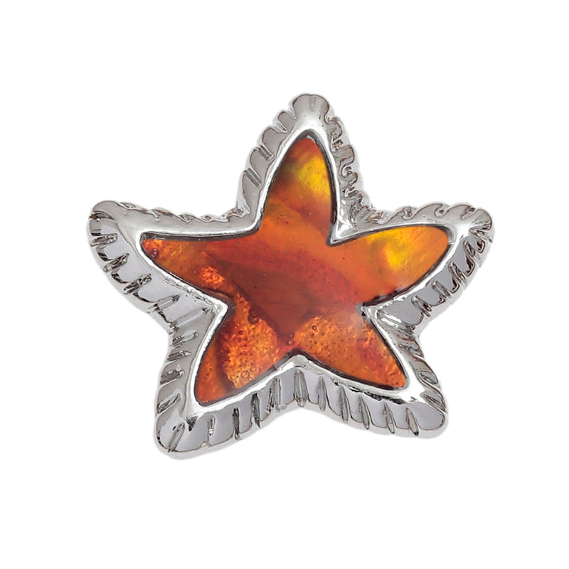 Paua Shell Starfish Pin Badge