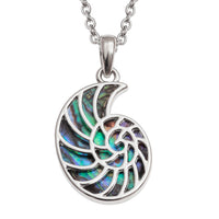 Paua Shell Ammonite Fossil Necklace
