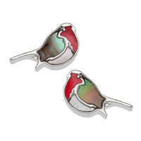 Paua Shell Robin Stud Earrings