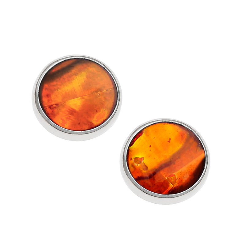 Paua Shell Amber Round Stud Earrings