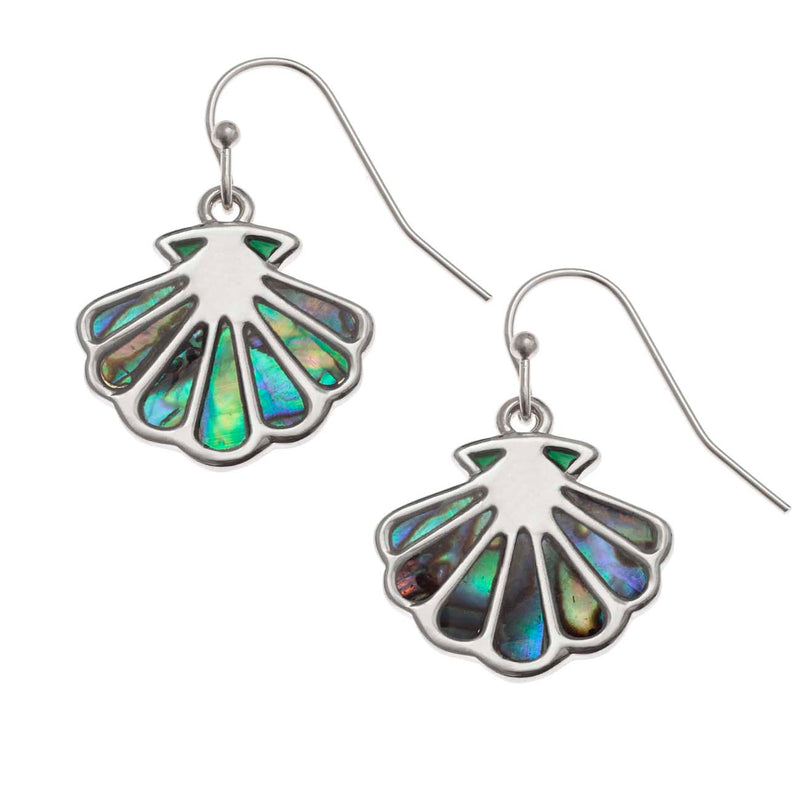 Paua Shell Scallop Shell Earrings